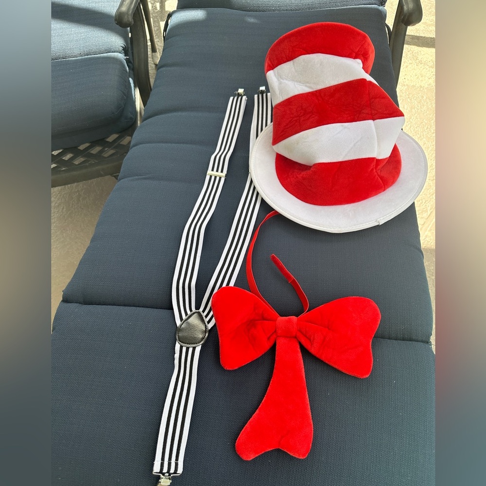 Dr. Seuss Costume